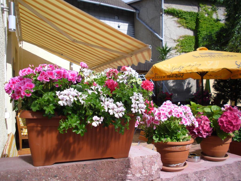 Gasthaus Forelle Thale Dış mekan fotoğraf