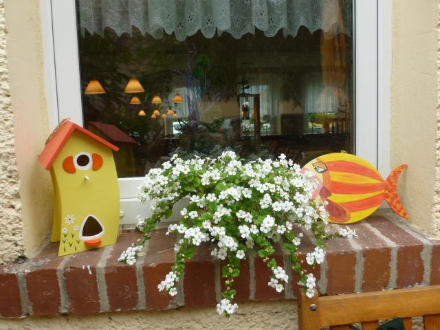 Gasthaus Forelle Thale Dış mekan fotoğraf